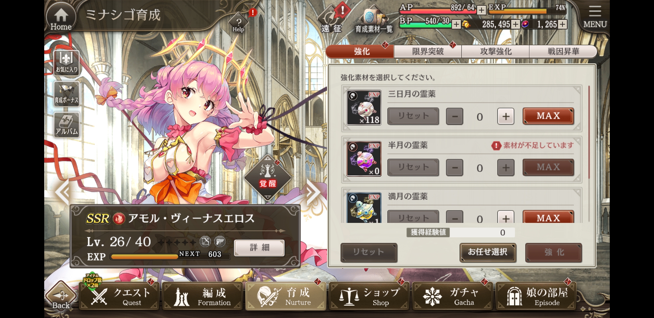 ミナシゴノシゴトRの育成画面